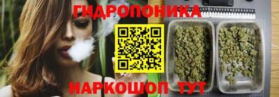 круглые Новокубанск